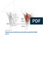 Upper Limb