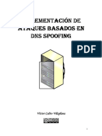 DNS_Spoofing.pdf