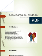 3 - Cuidadores