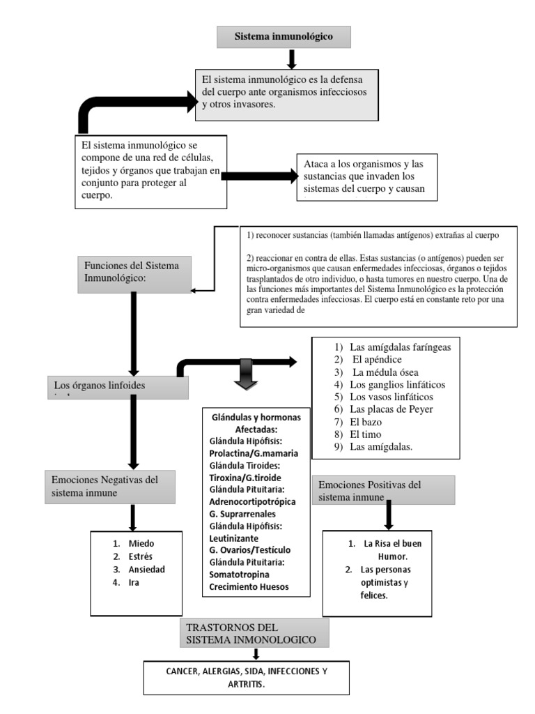 Mapa Conceptual Sistema Inmune