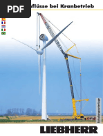 Windeinfluesse Bei Kranbetrieb DE EN SP NI IT FR BR1 PDF