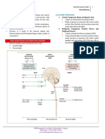 Organization of Nervous System: Anatomic Divisions