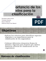 Criterios-para-la-clasificación-1