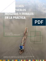 Derechos de los PI en la Practica - una Guia.pdf