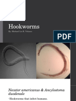 Hookworms: By: Michael Loi R. Velasco