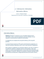 IBTema1.pdf