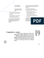 Cognicion y Corteza PDF