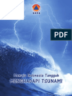 Masterplan PRB Tsunami.pdf