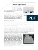 PCR Wikipedia