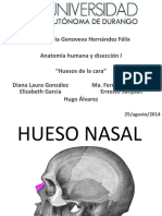 Huesos de La Cara