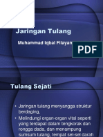 Jaringan Tulang