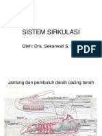 Kuliah Sistem Transpostasi