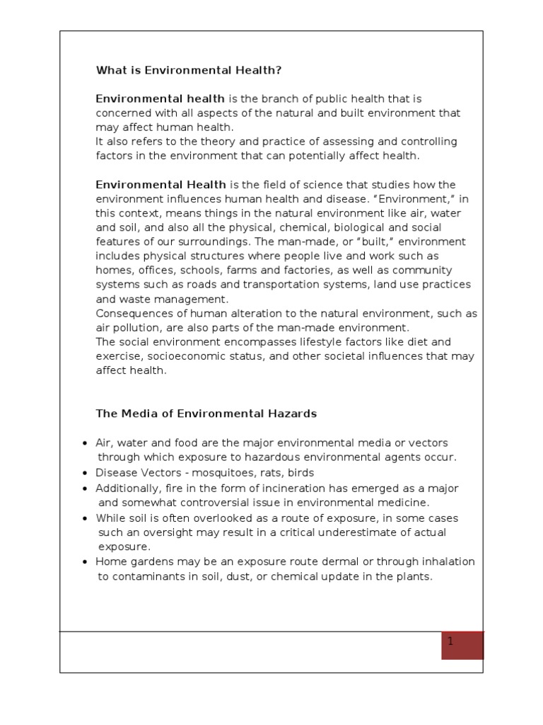 Understanding Environmental Health Hazards | PDF | Environmental Health ...