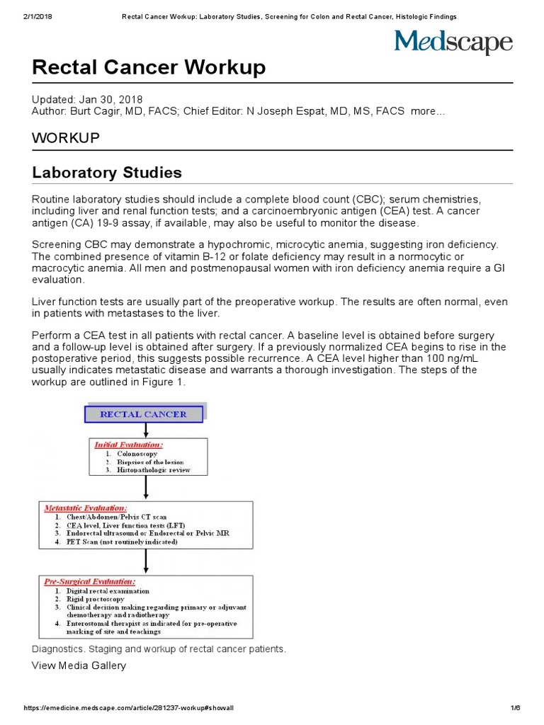 Rectal Cancer Workup and Screening Guide | PDF | Colorectal Cancer ...