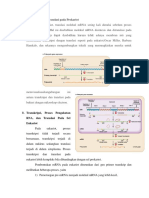 TRANS] Transkripsi dan Translasi pada Prokariot dan Eukariot