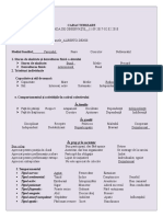 Caracterizare Tip