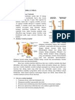 Fisioterapi Pada HNP