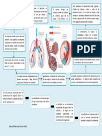 Intercambio de Gases Pulmonar