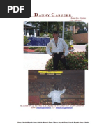 Download DANNY CABUCHE-DOSSIER BIOGRAFIA COMPLETA PRENSA 2006 40 pag1 by bapress SN3737238 doc pdf