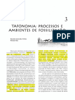 06.Carvalho-Cap03-Tafonomia.pdf