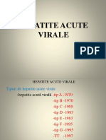 Hepatite Acute Virale