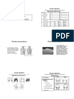 Semeiotica Ap - Respirat PDF