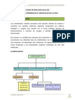 Glúcidos o Azúcares PDF