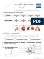 Diagnósticos 4º Ano