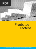 p+l_laticinio.pdf