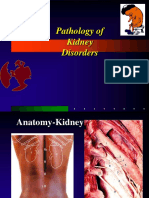 Pathology of Kidney Disorders