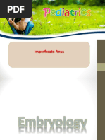 Imperforate Anus