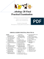 Pathology Final Practical Examination