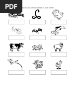 3º Ano Animais
