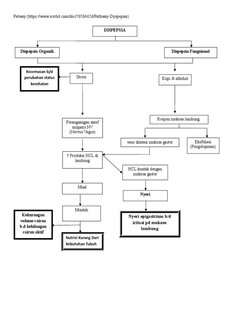 Pathway Dispepsia dan Gejalanya | PDF