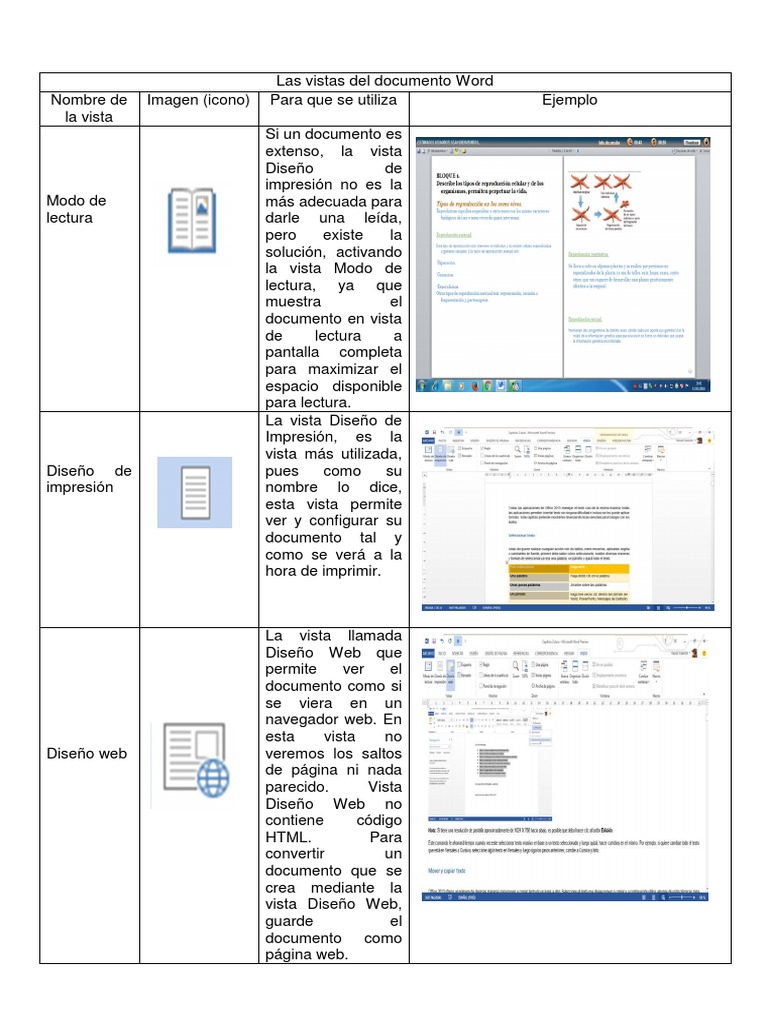 Tipos de Vistas en Documentos Word PDF Diseño web Red