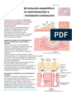 184270587-Cap-7-Guyton-pdf-pdf.pdf