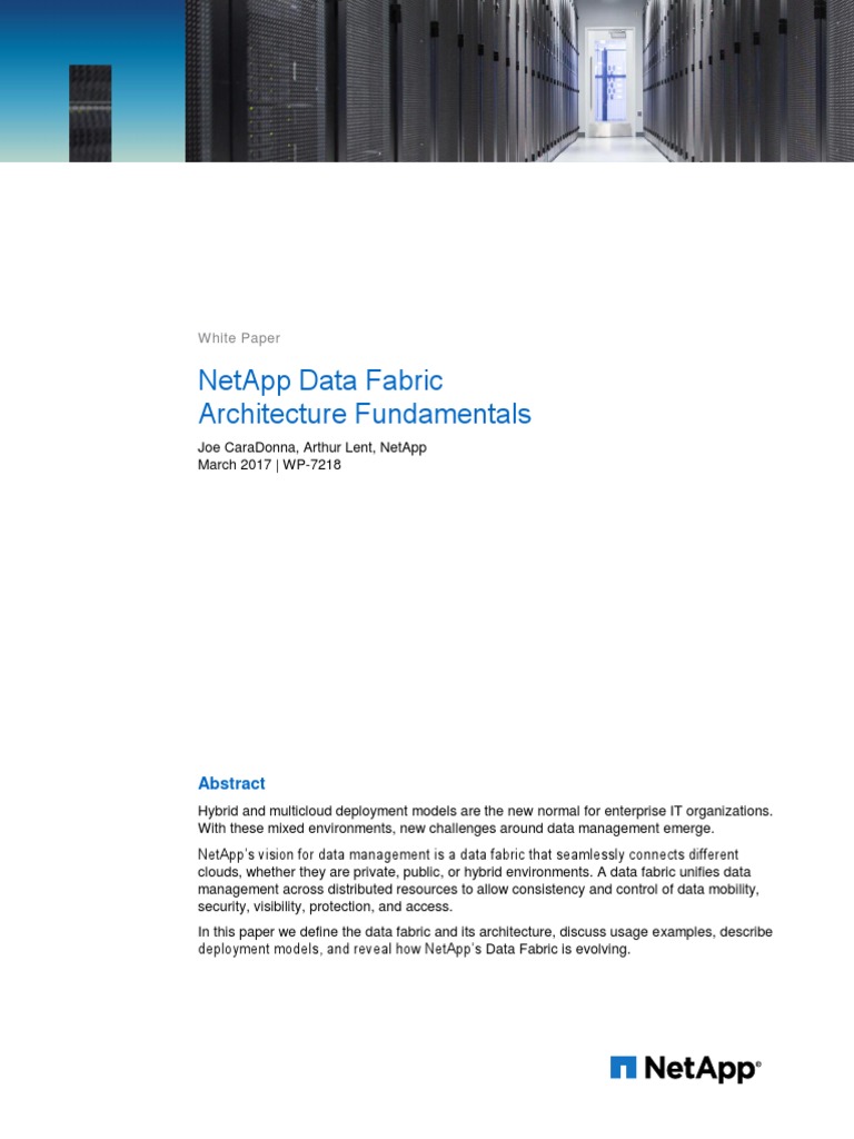 NetApp Data Fabric Architecture Fundamentals | PDF | Software As A ...