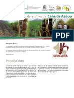 CAÑA_DE_AZÚCAR,_FICHA_TÉCNICA (1).pdf