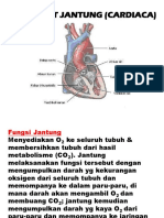 Obat Jantung