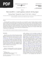 Download Plant MicroRNA-- A Small Regulatory Molecule With Big Impact by Dilcan Hatunolu SN37378332 doc pdf