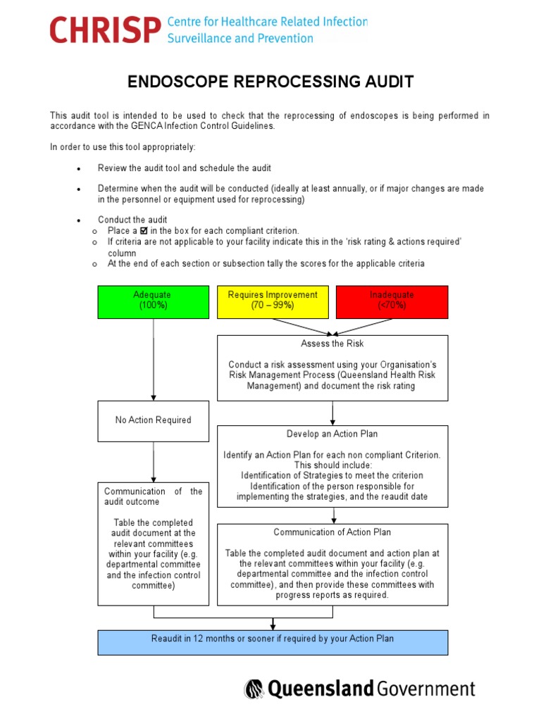 Audit Endos PDF Endoscopy Infection Control