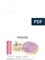 Fisiologi Tiroid