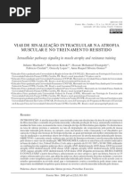 3.Atrofia Por Desuso