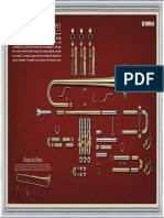 scribd-download.com_383-poster-trompette-eclate-en.pdf