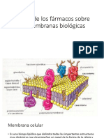 Acción de Los Fármacos Sobre Las Membranas Biológicas