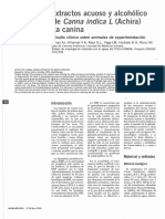 Y Canna Indica L: Efectos de Extractos Acuoso Alcohólico de Rizomas de (Achira) en La Próstata Canina