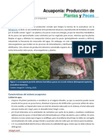 Acuaponia. Produccion de Plantas y Peces PDF