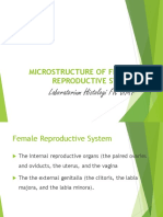 Microstructure Female Reproductive System_2018