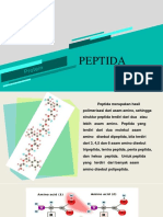 Peptida & Metabolisme