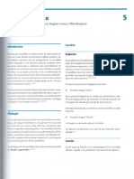 Mordida Abierta PDF
